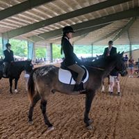 Southern Maryland Special Olympics equestrian 5